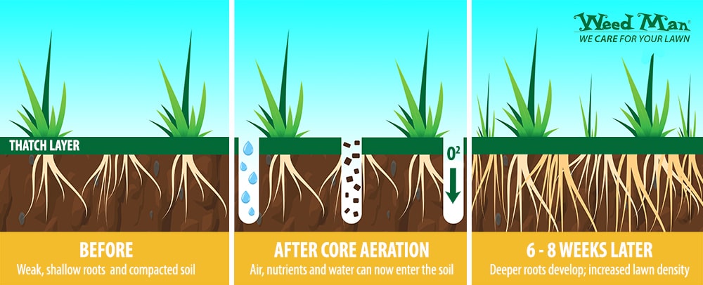 core aeration diagram